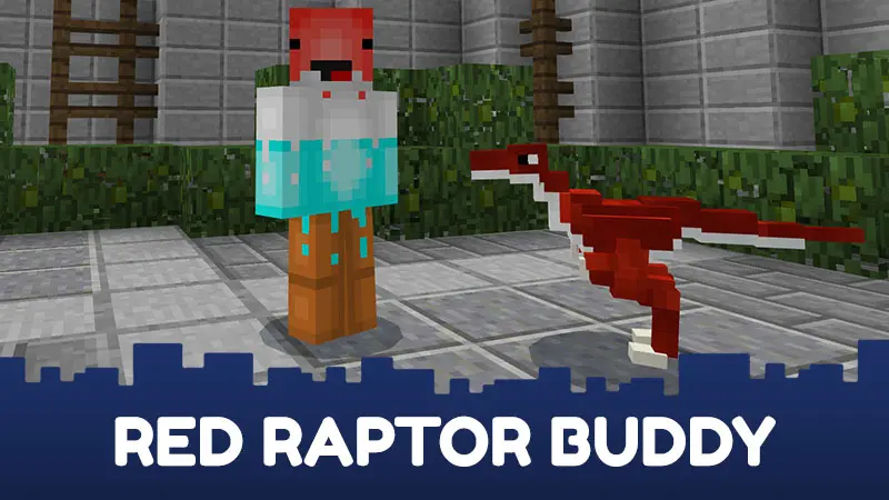 Raptors - Buddy Pack 4