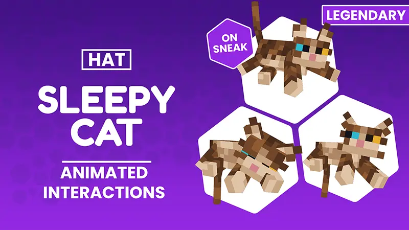 Sleepy Cat - Hat