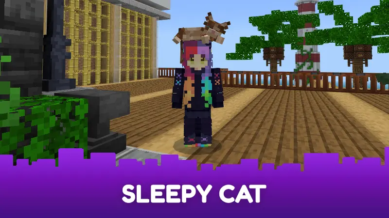 Sleepy Cat Hat - Gift 2