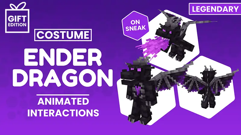 Ender Dragon Costume - Gift