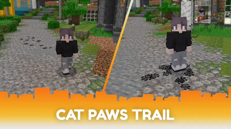 Cat Bundle 3