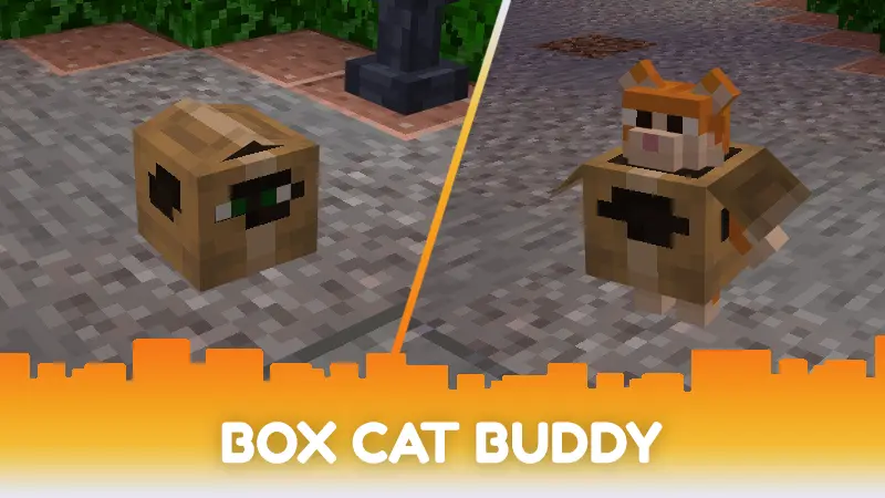 Cat Bundle 4