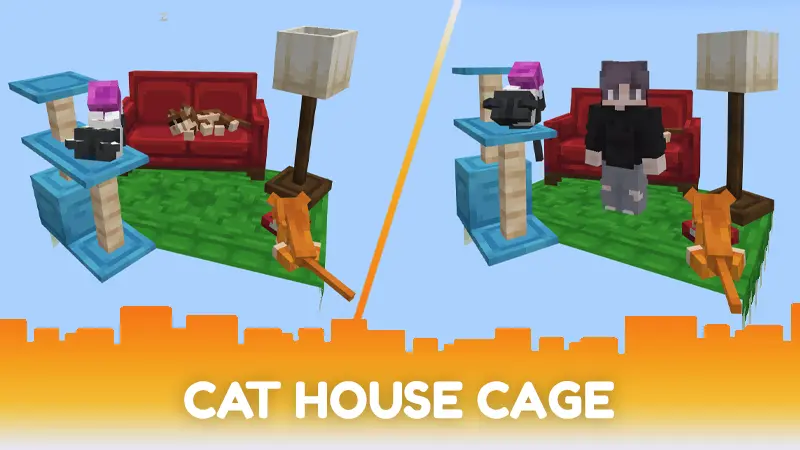 Cat Bundle 6