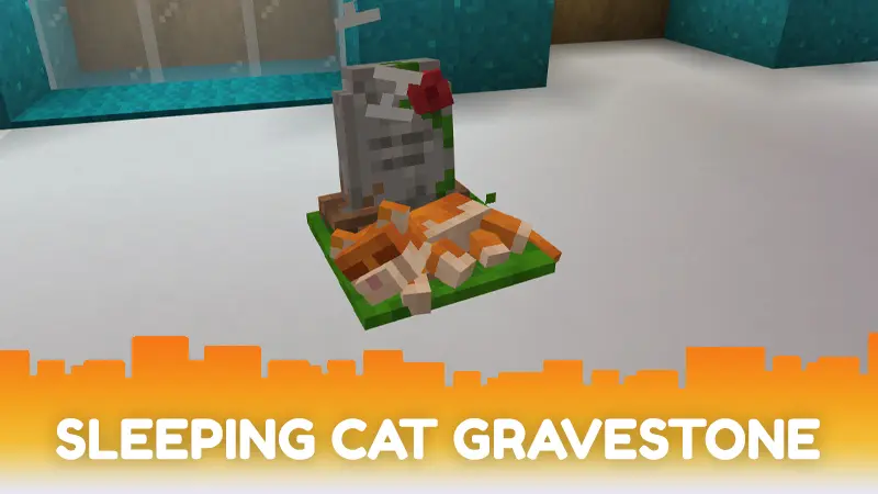 Cat Bundle 9